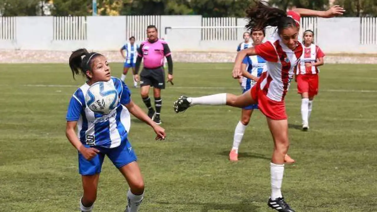 torneo futbol